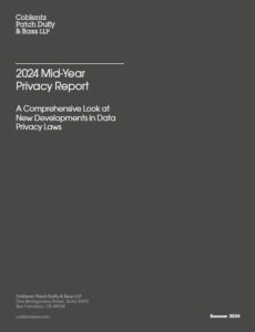 2024 Mid-Year Privacy Report